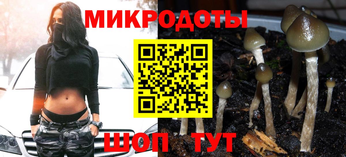 Назарово  Псилоцибиновые грибы Psilocybe  Вход с VPN 
